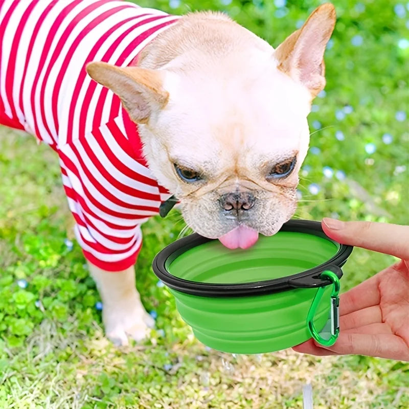 Collapsible Travel Pet Bowl