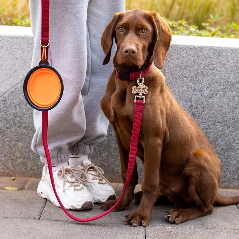 Collapsible Travel Pet Bowl