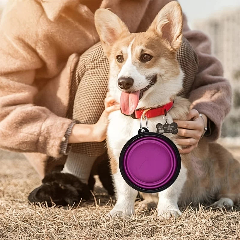 Collapsible Travel Pet Bowl